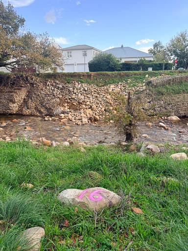 2026 Tree Location 16-512 Blank