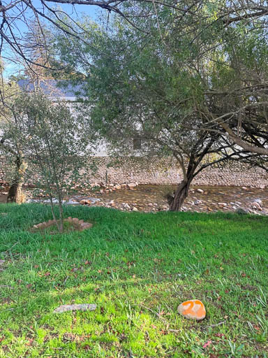 2026 Tree Location 22-512 Blank