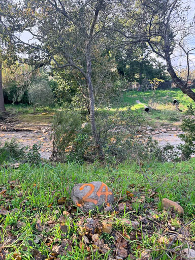 2026 Tree Location 24-512 Blank