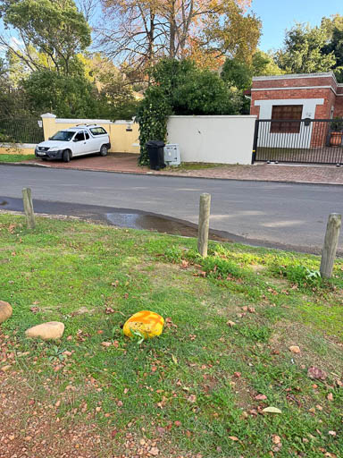 2026 Tree Location 27-512 Blank