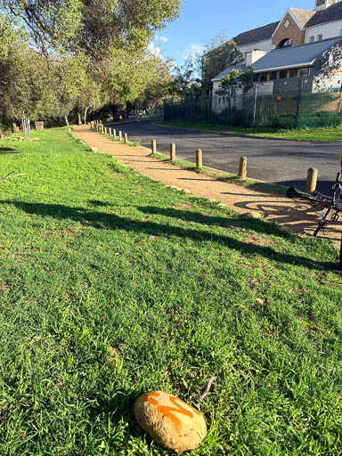 2026 Tree Location 33-512 Blank
