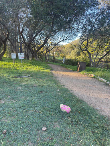 2026 Tree Location 34-512 Blank