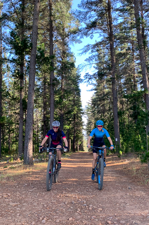 Forest with mountain bikers