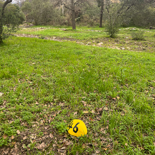 STF Tree Location