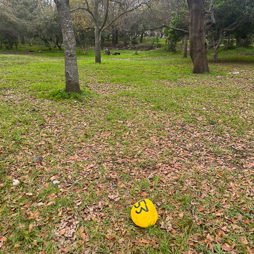 STF Tree Location